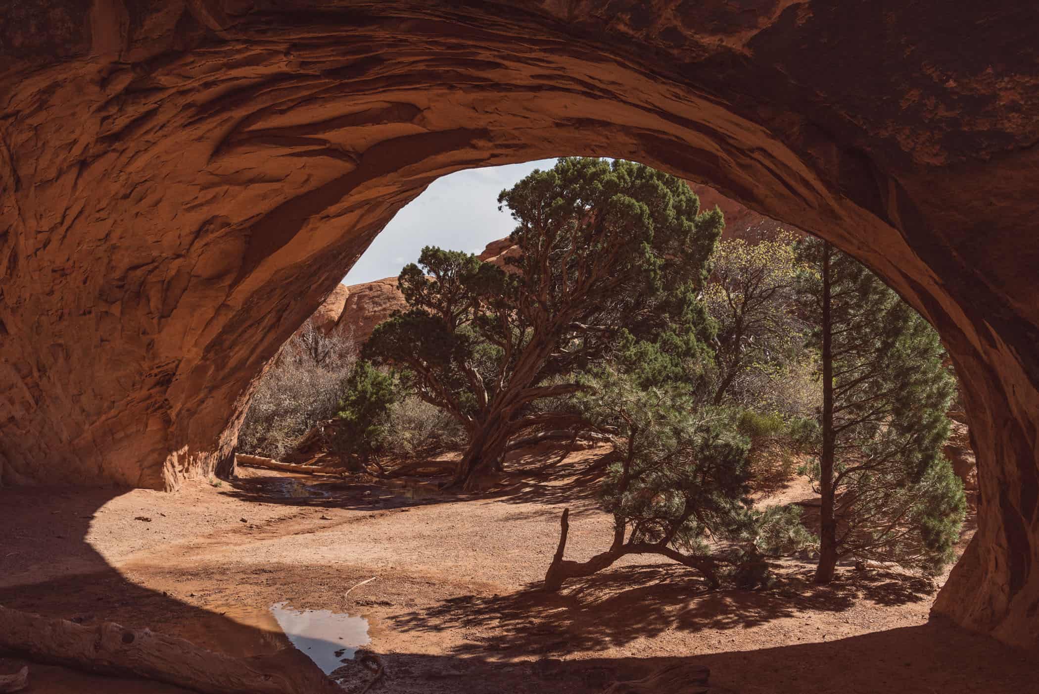 Devils Garden Trail Arches National Park