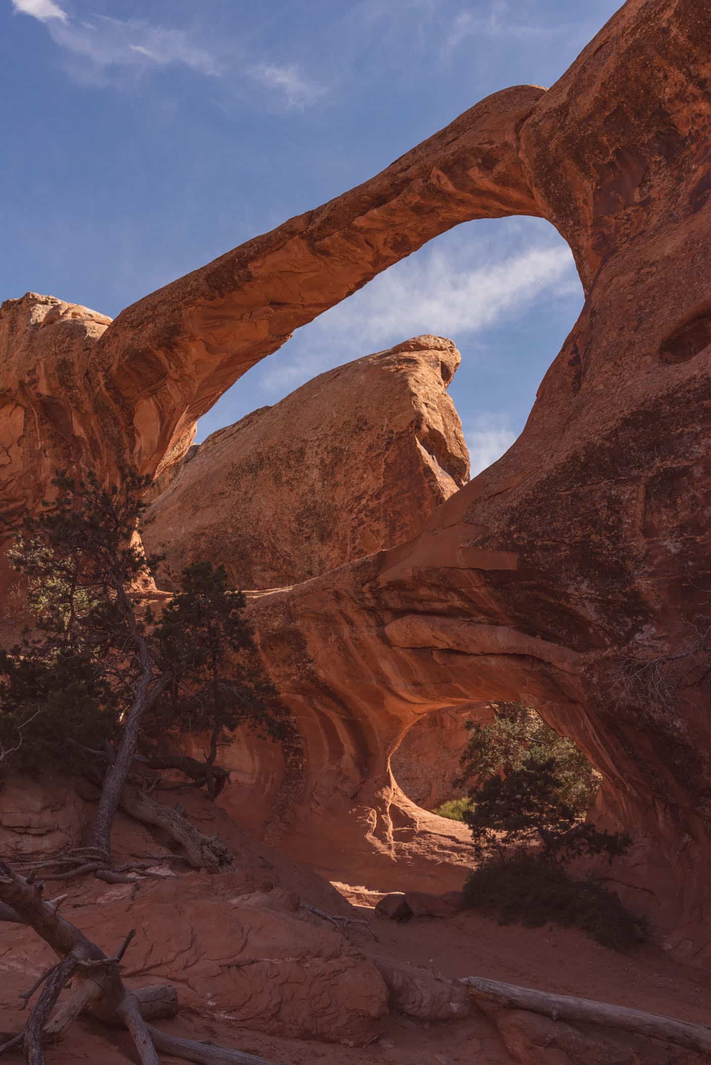 Devils Garden Trail Arches National Park