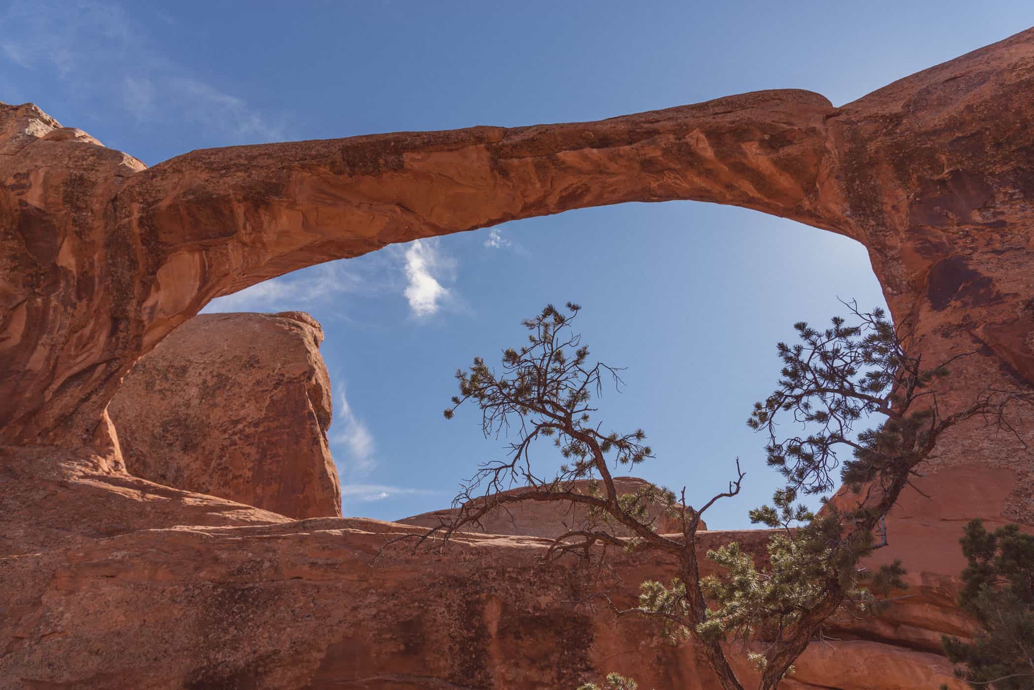 Devils Garden Trail Arches National Park