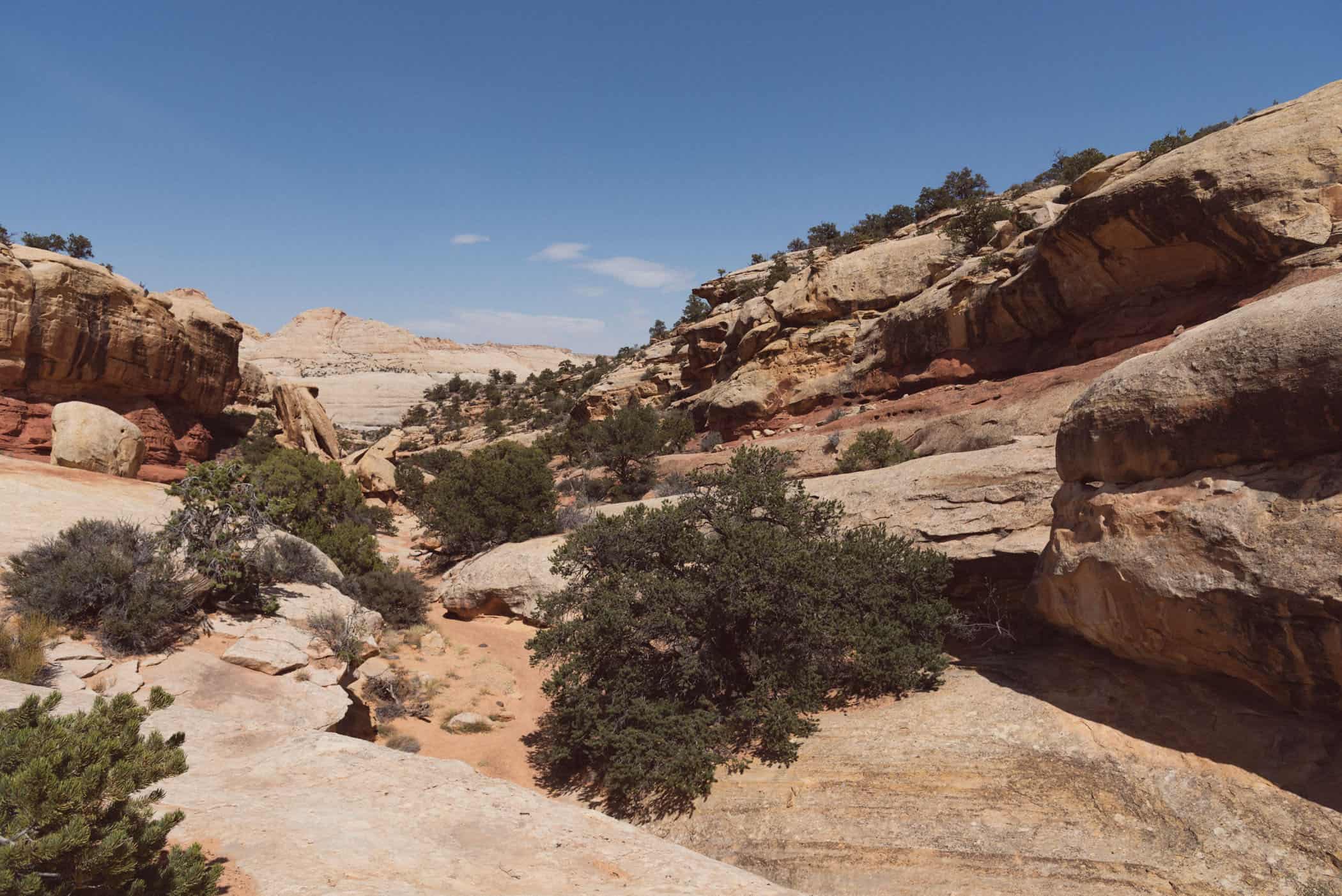 Capitol Reef National Park