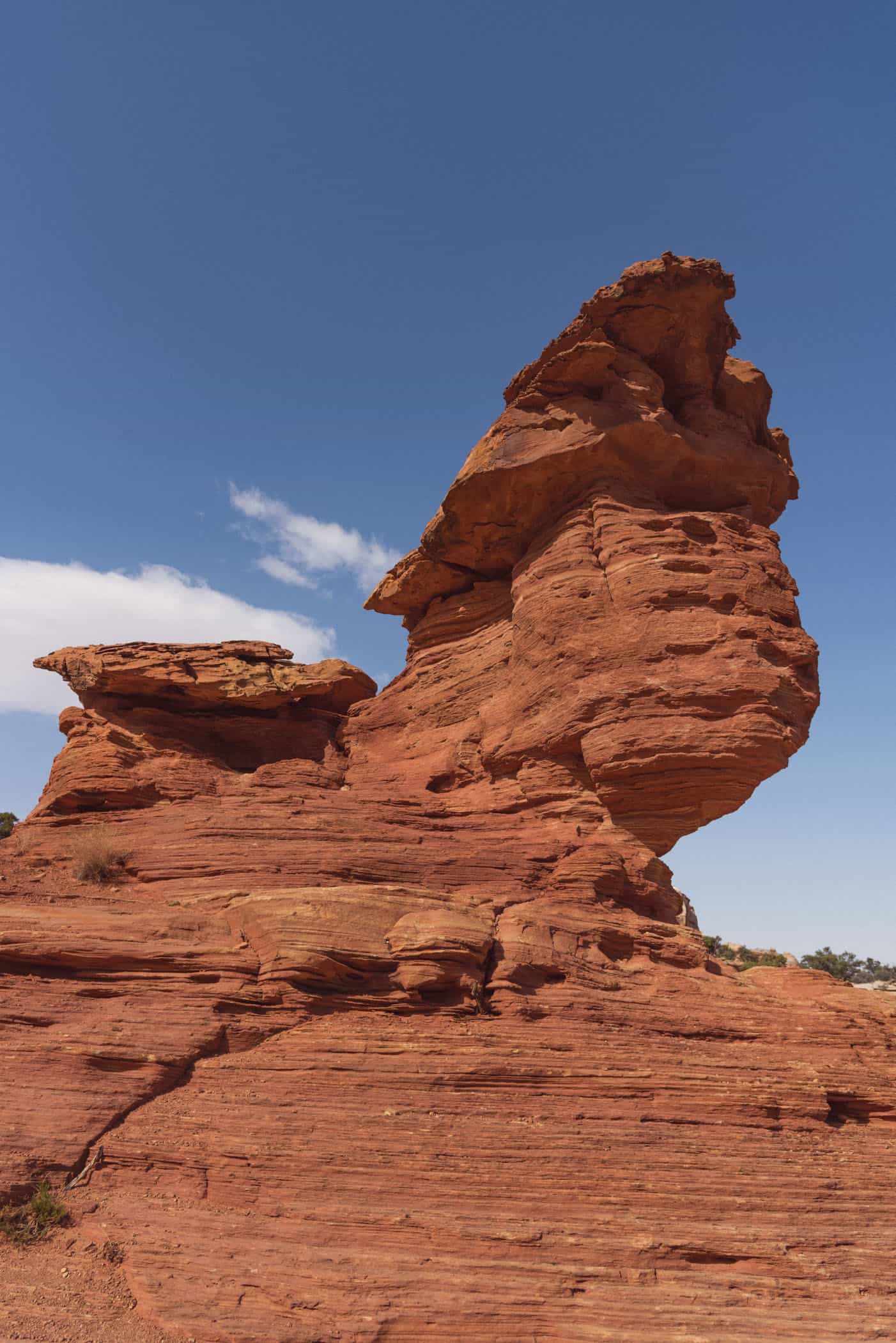 Capitol Reef National Park