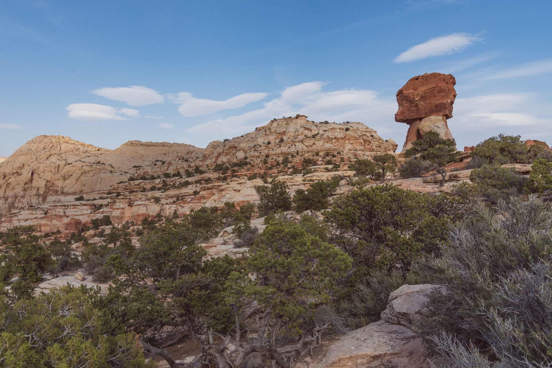 Capitol Reef National Park