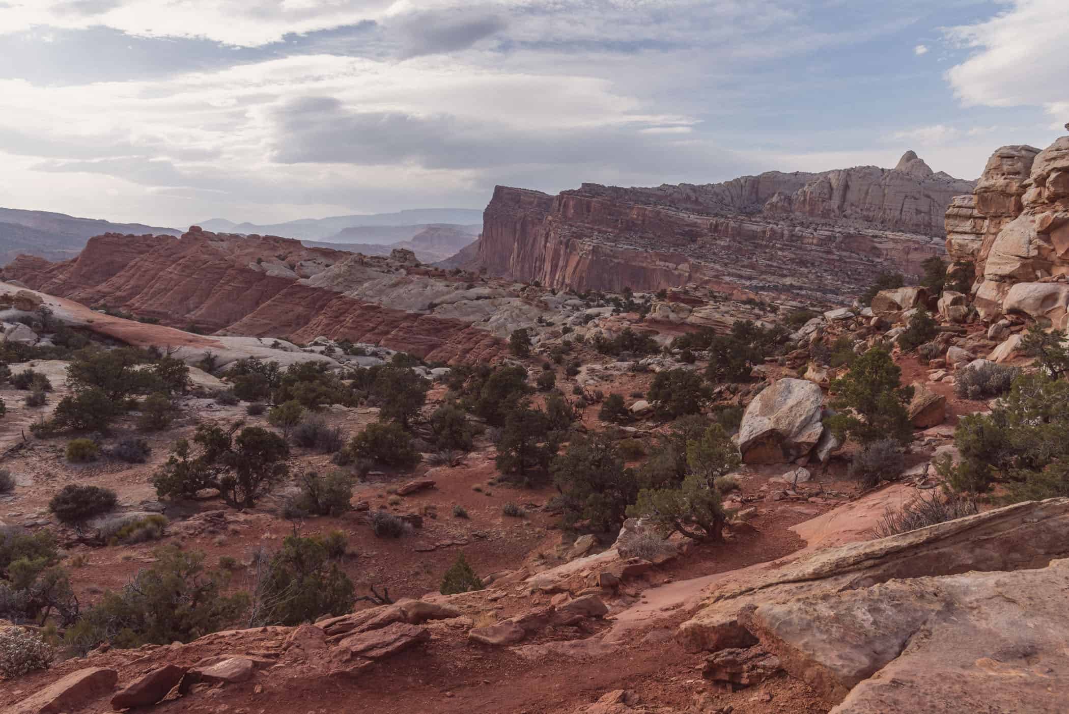 Capitol Reef National Park