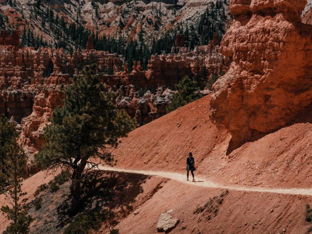 How to hike the Fairyland Loop Trail in Bryce Canyon