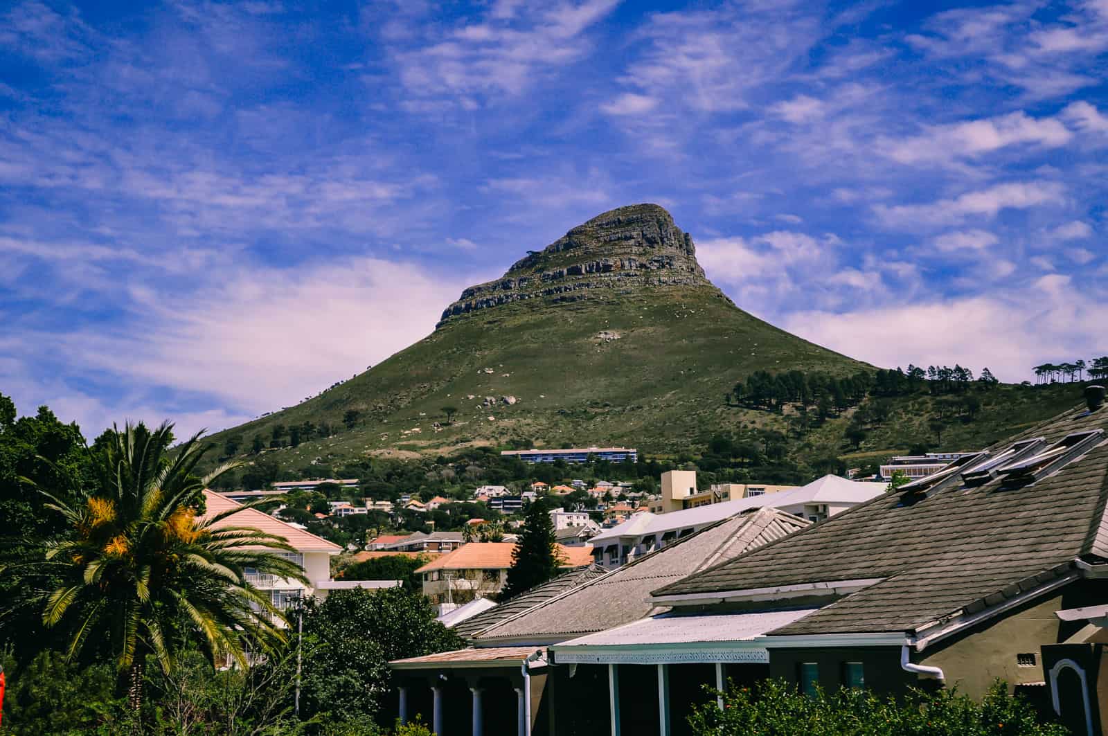 cape town lion's head cape town lion's head