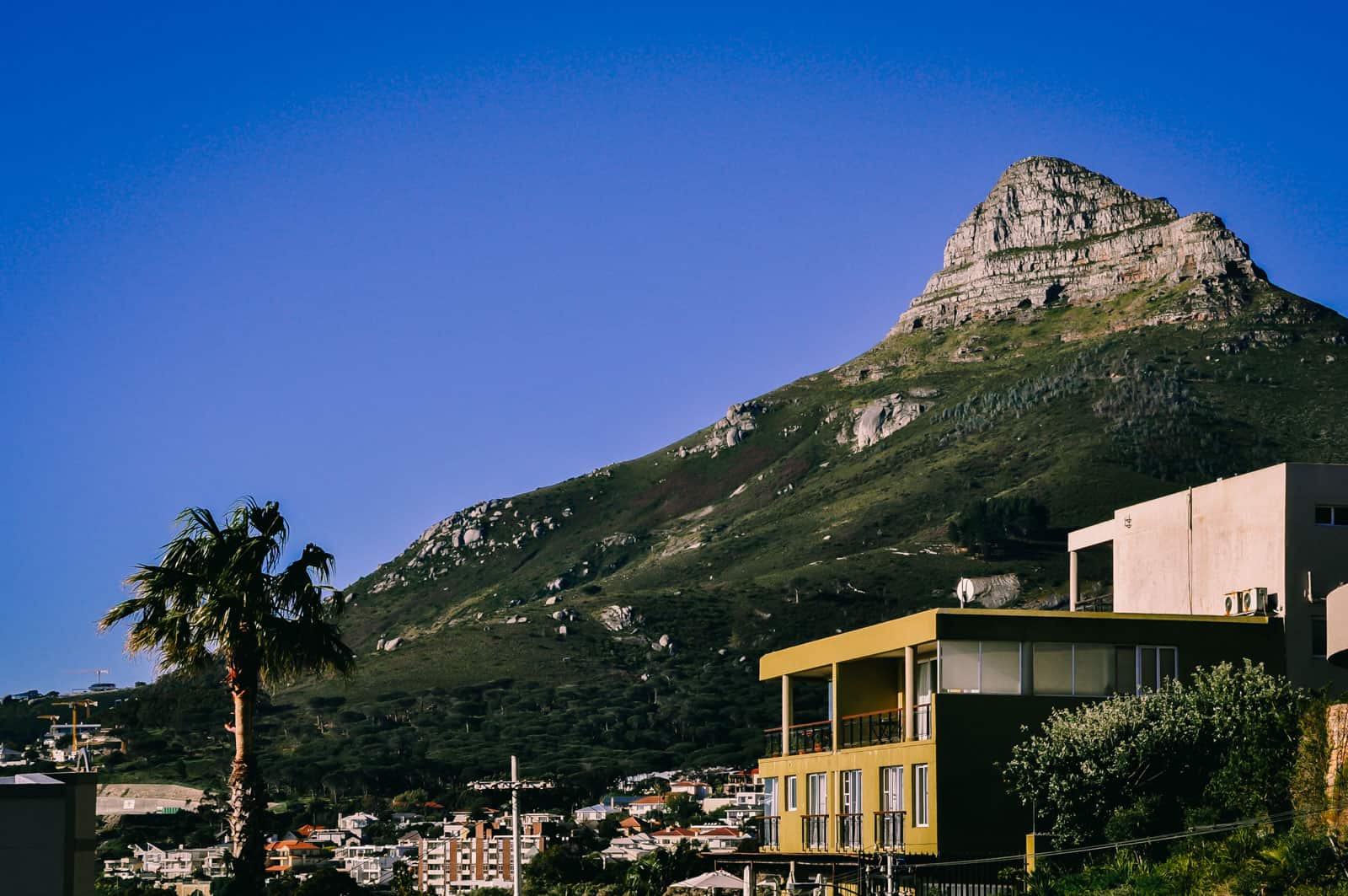 cape town lion's head cape town lion's head