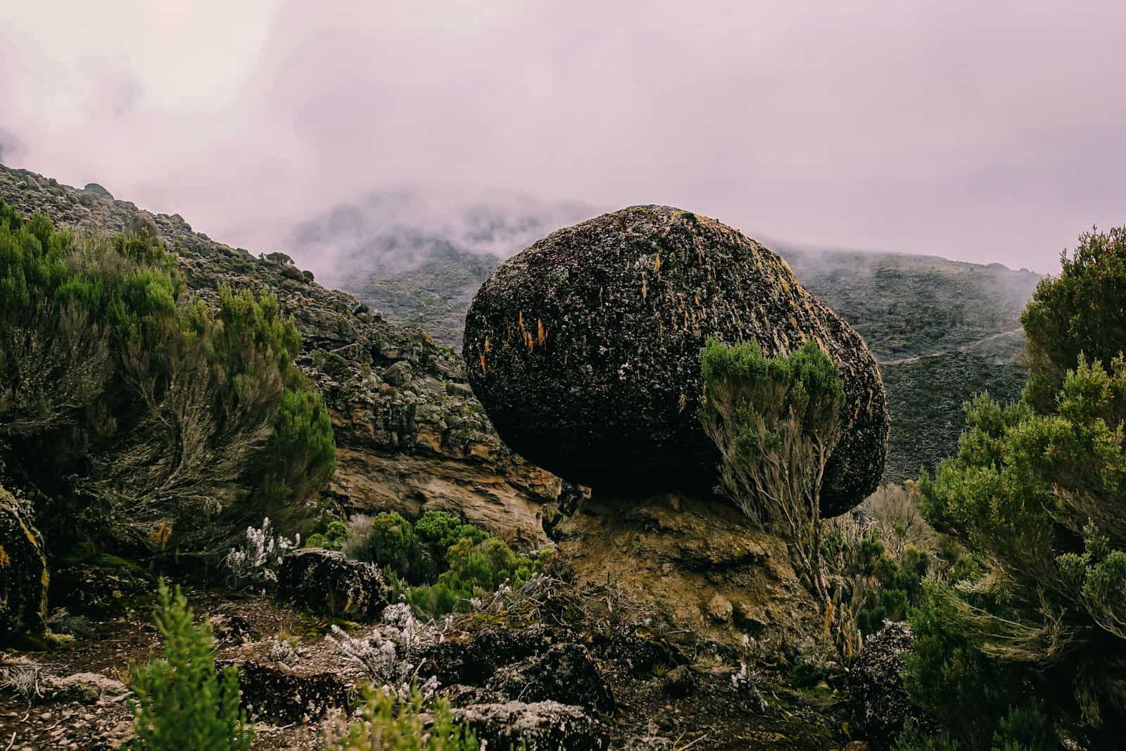 Kilimanjaro hike Lemosho route