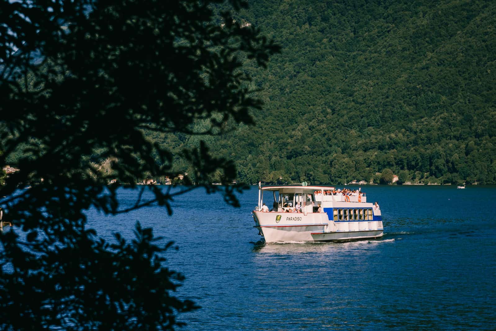 hiking Lugano Sentiero dell'olivo