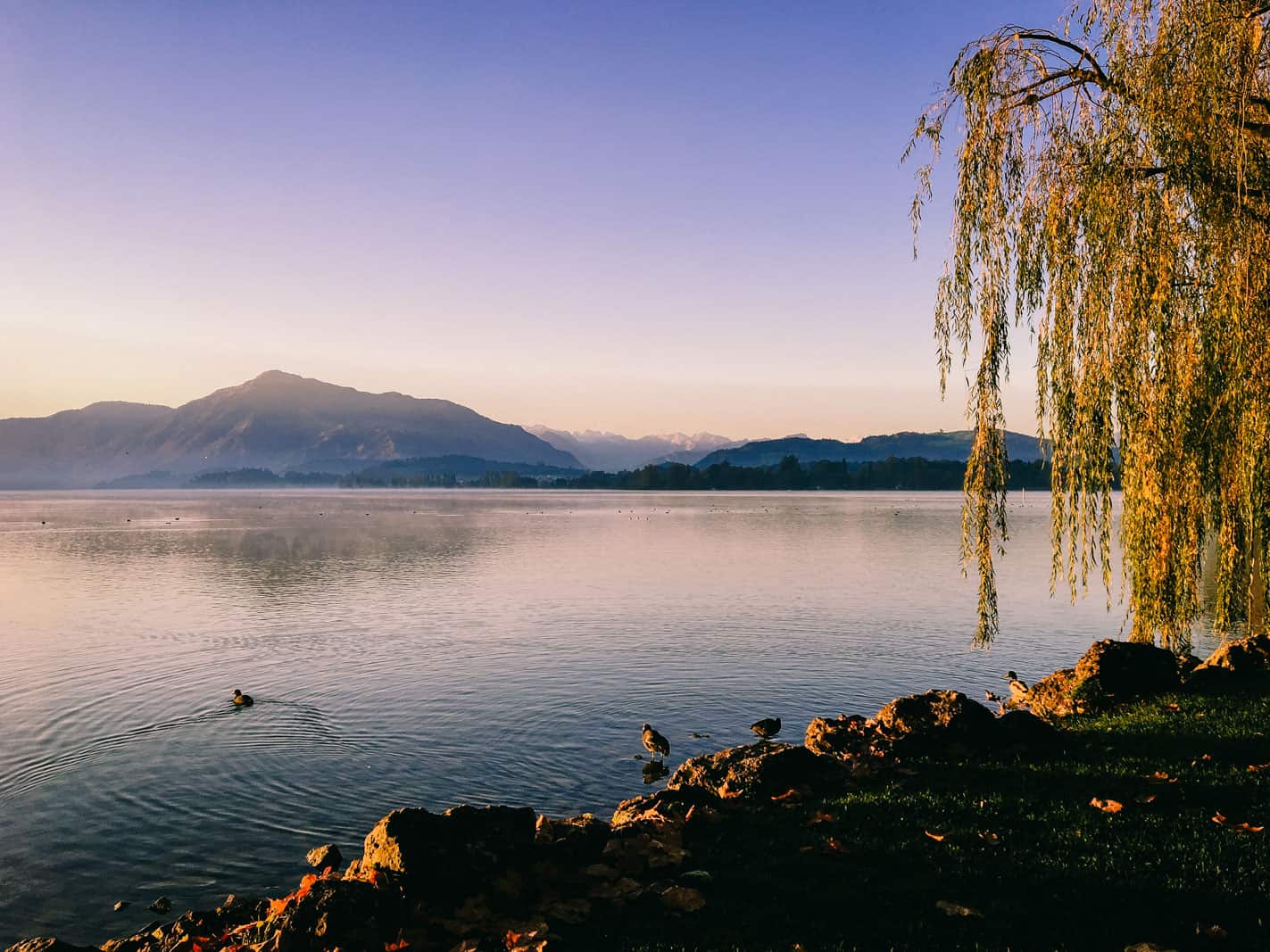 Running Lake Zug Cham