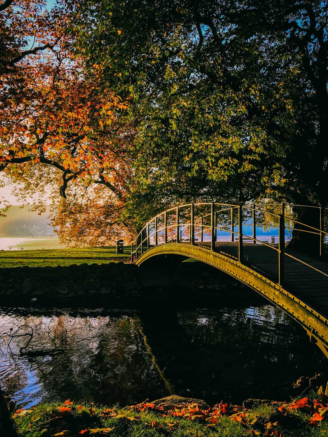 Running Lake Zug Cham