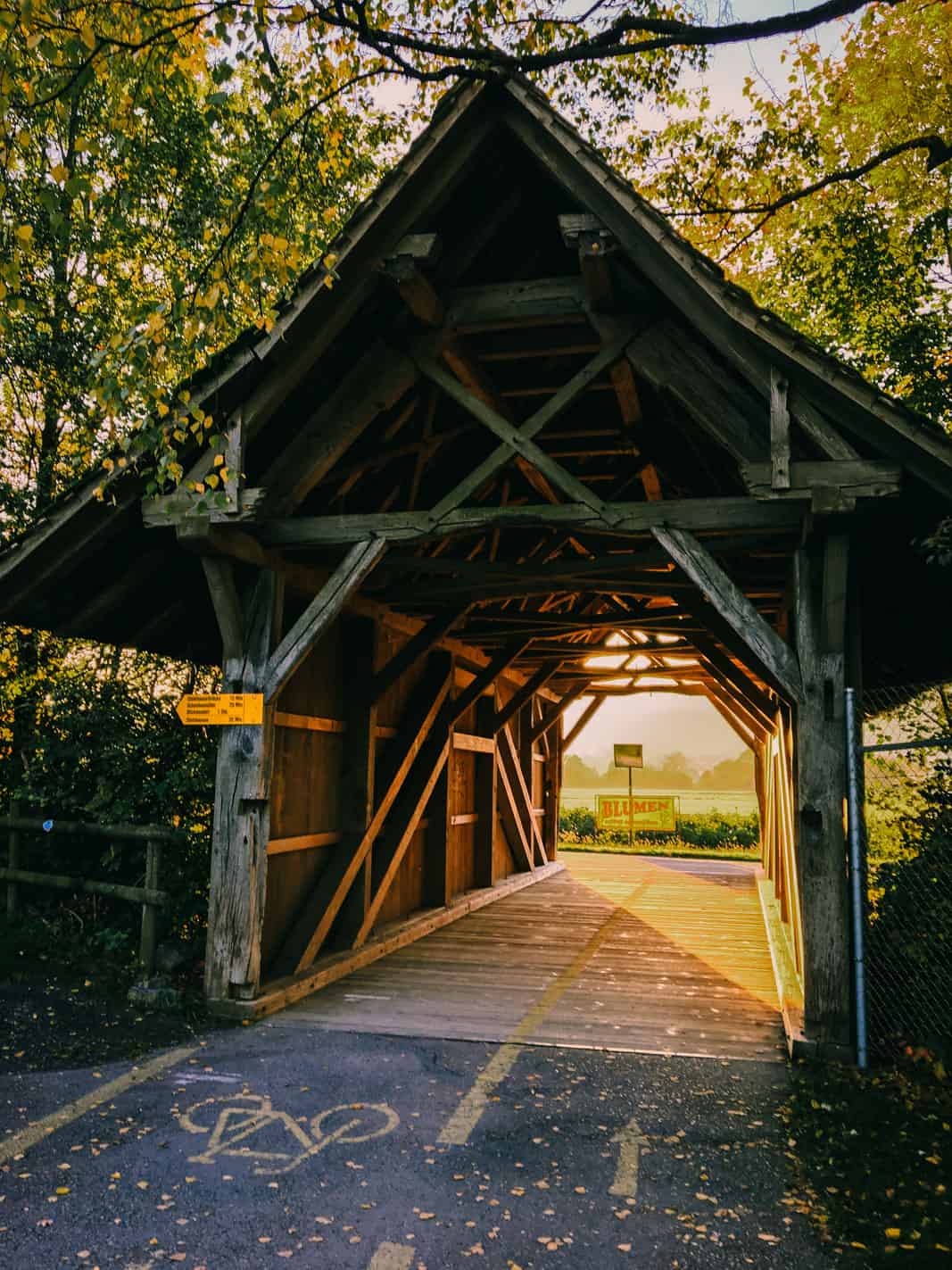 Running Lake Zug Cham