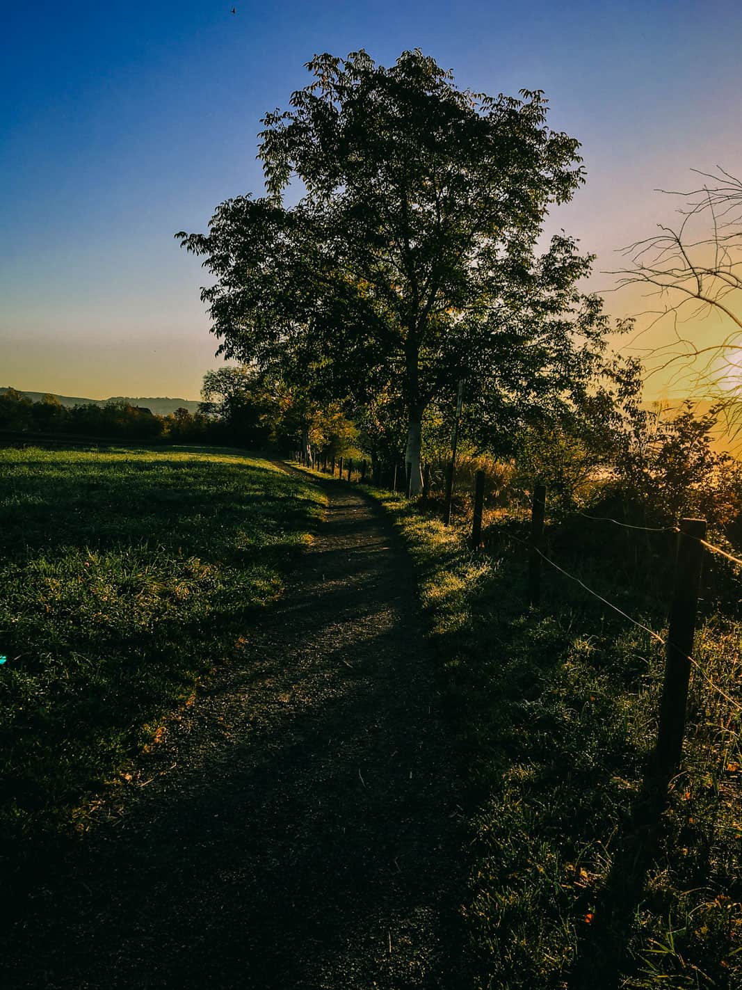 Running Lake Zug Cham