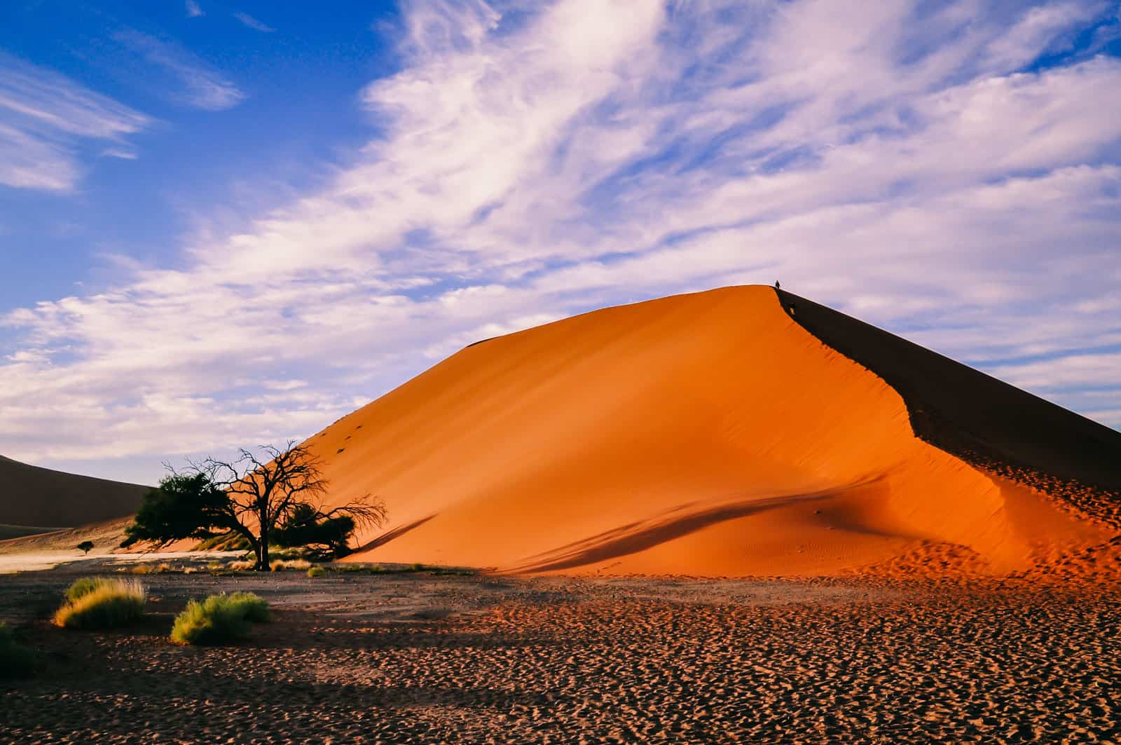 namibia deadvlei