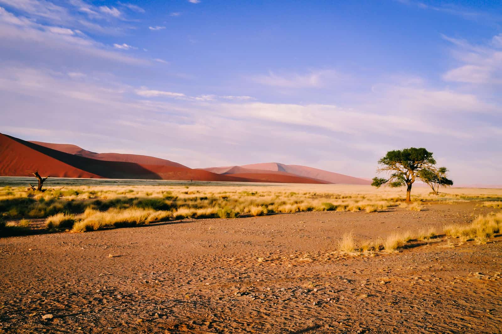 namibia deadvlei