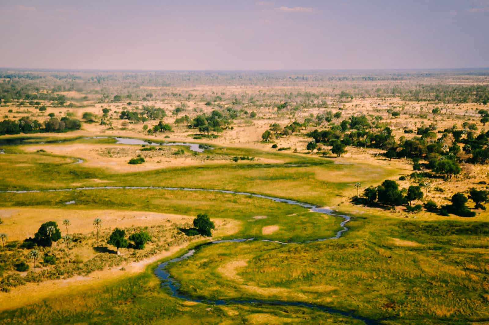 Botsuana okavango air safari
