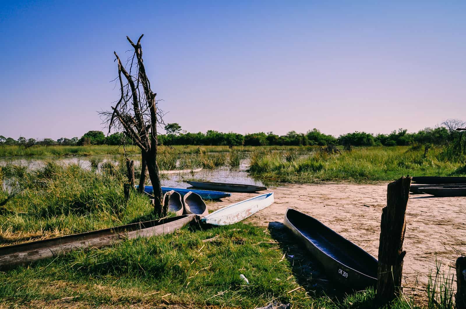 Botsuana okavango safari