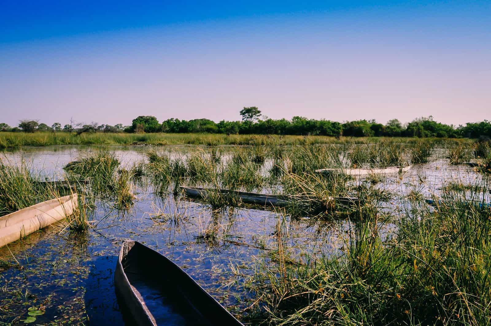 Botsuana okavango safari