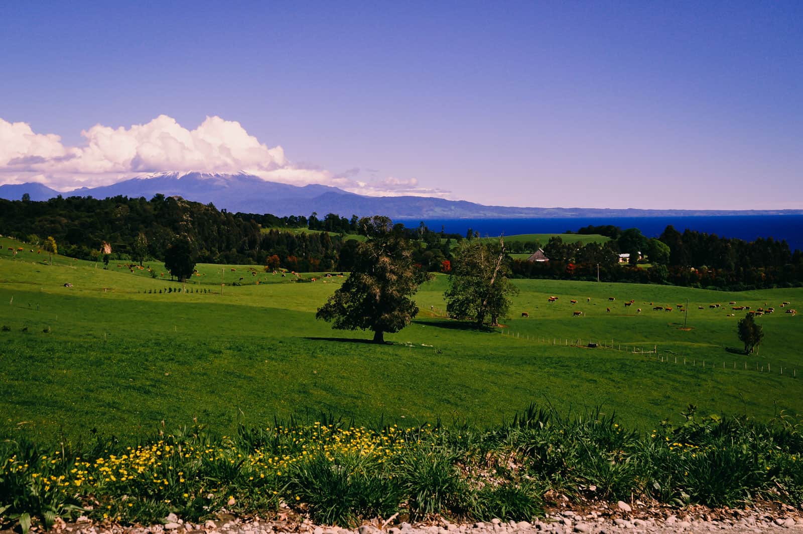 Puerto Varas countryside
