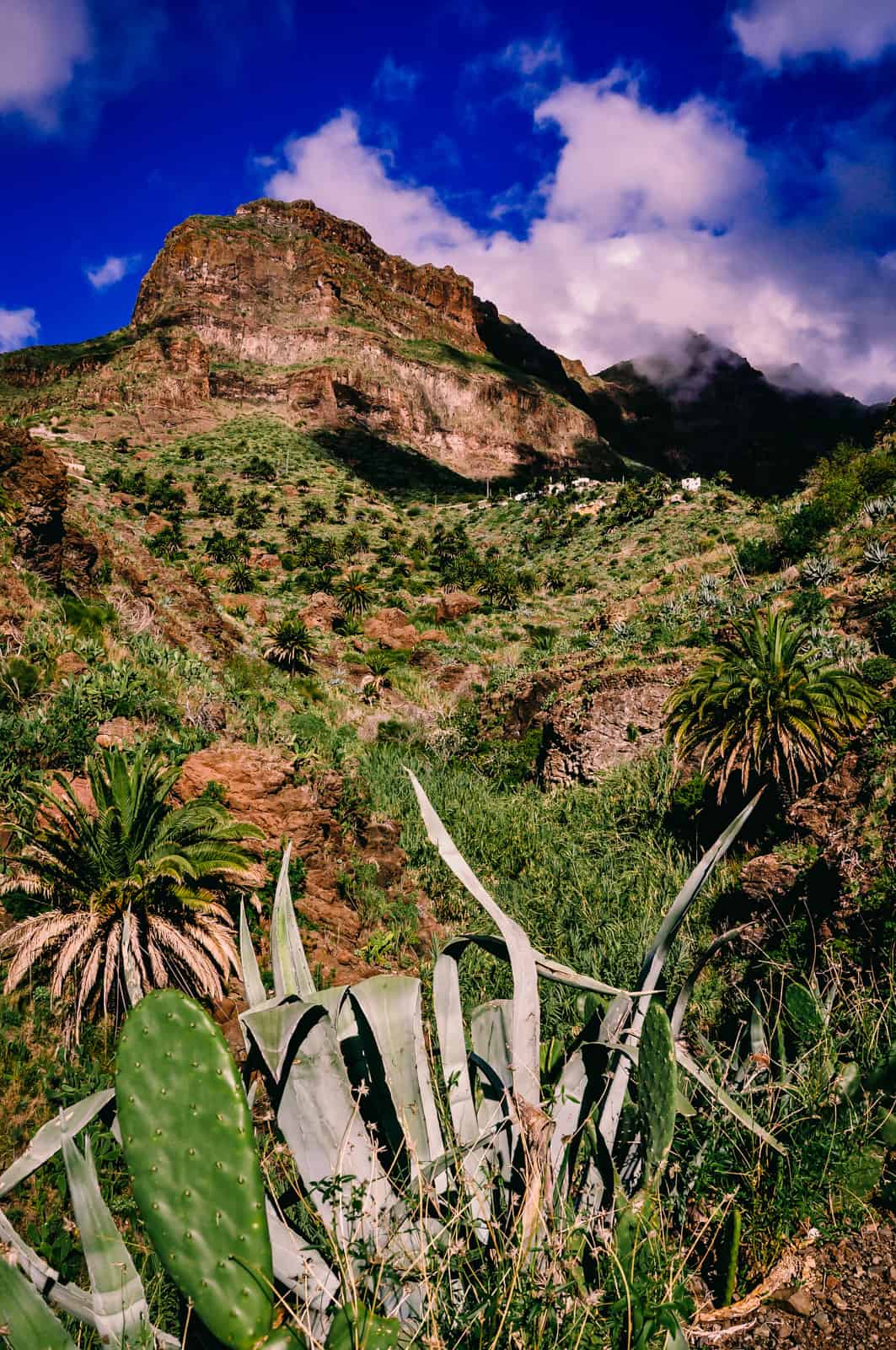 Teneriffe Masca Gorge hiking