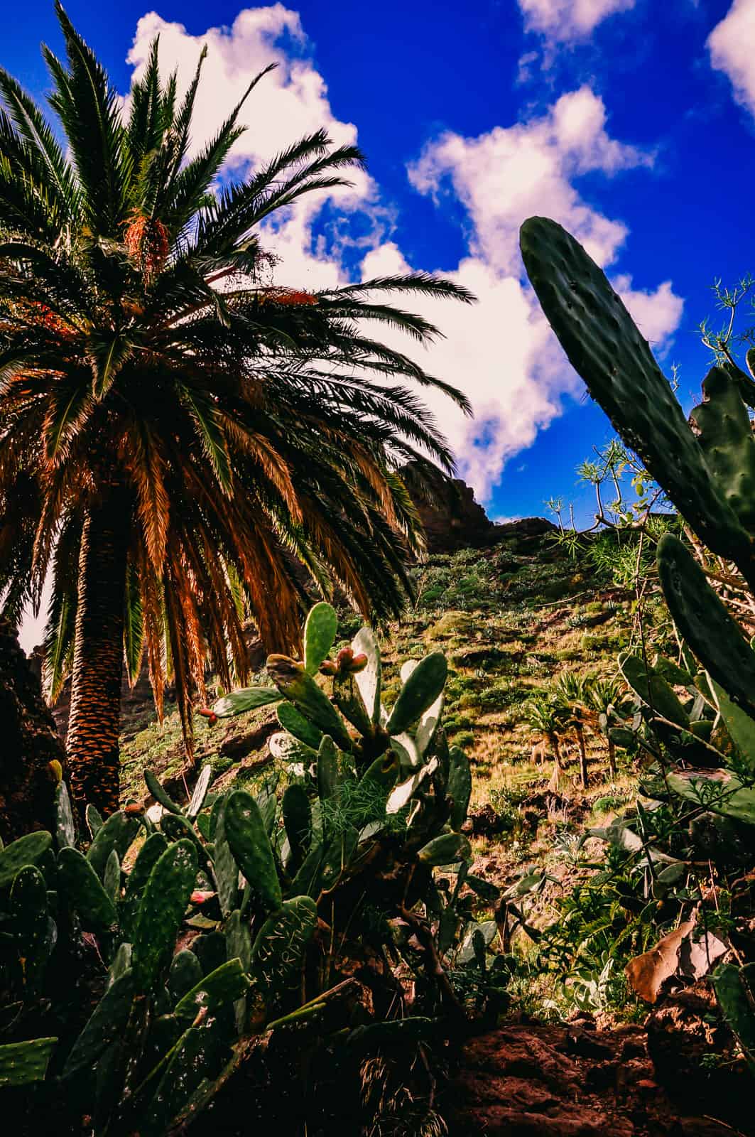 Teneriffe Masca Gorge hiking