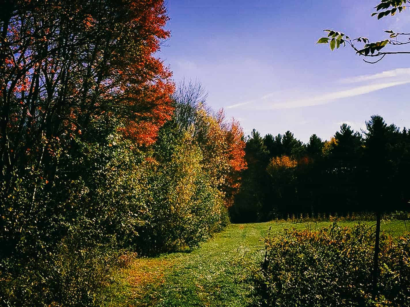 Concord, MA Indian Summer