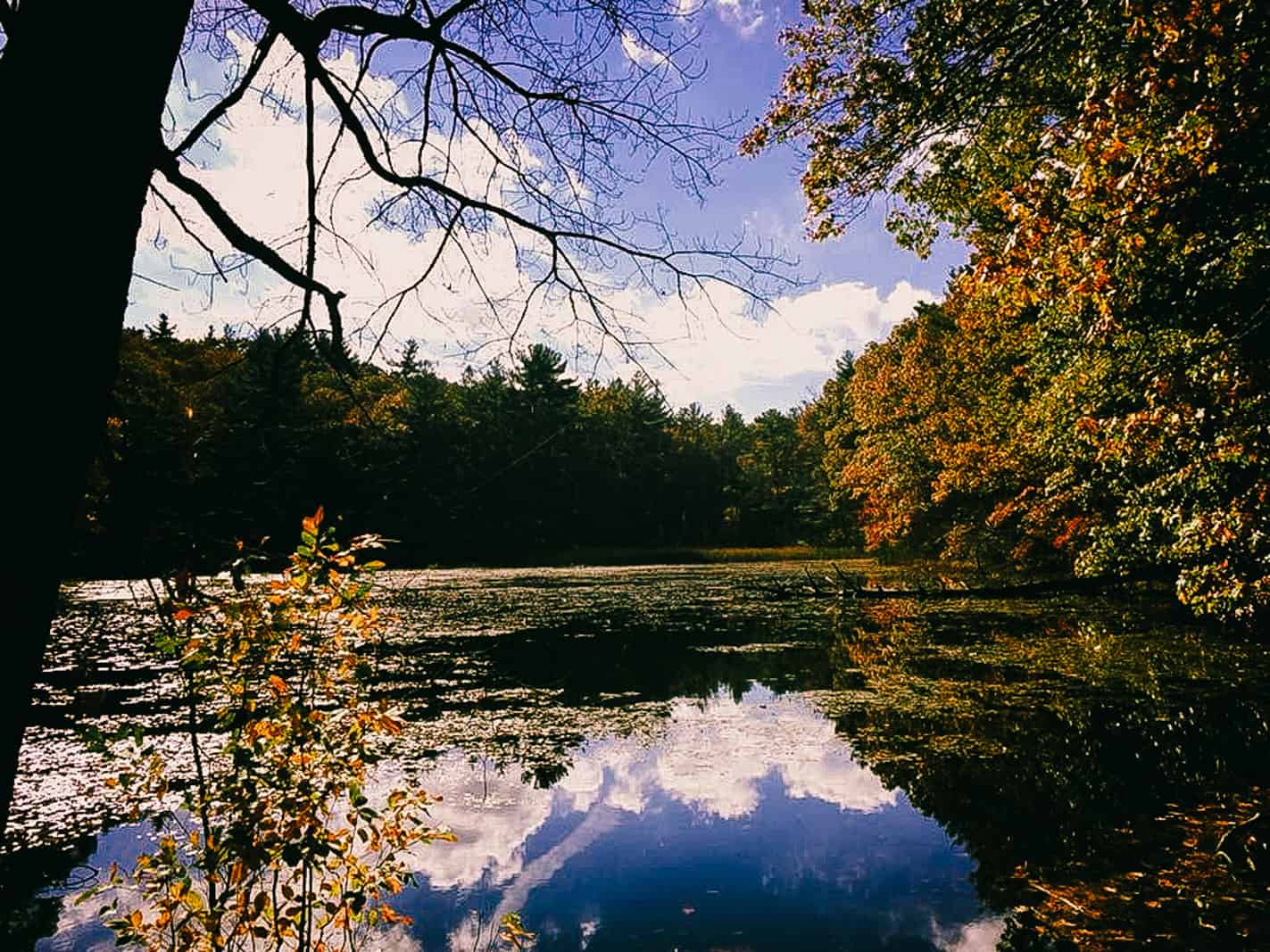 Concord, MA Indian Summer