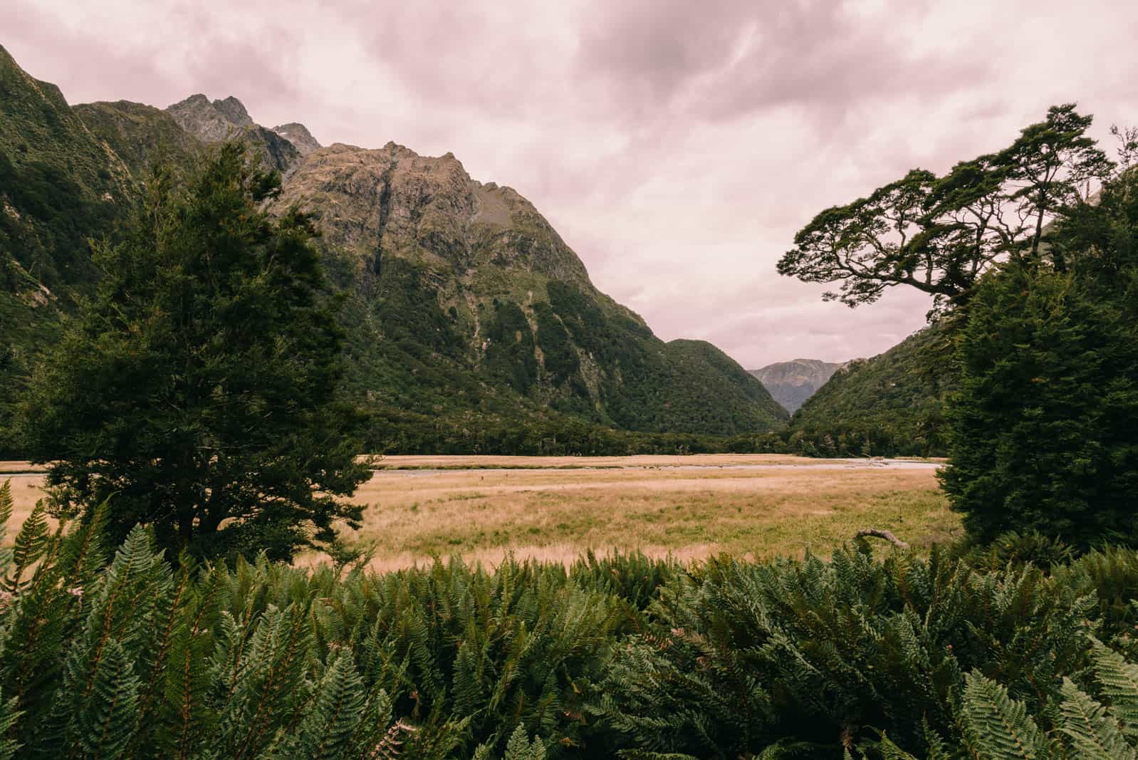 Routeburn track