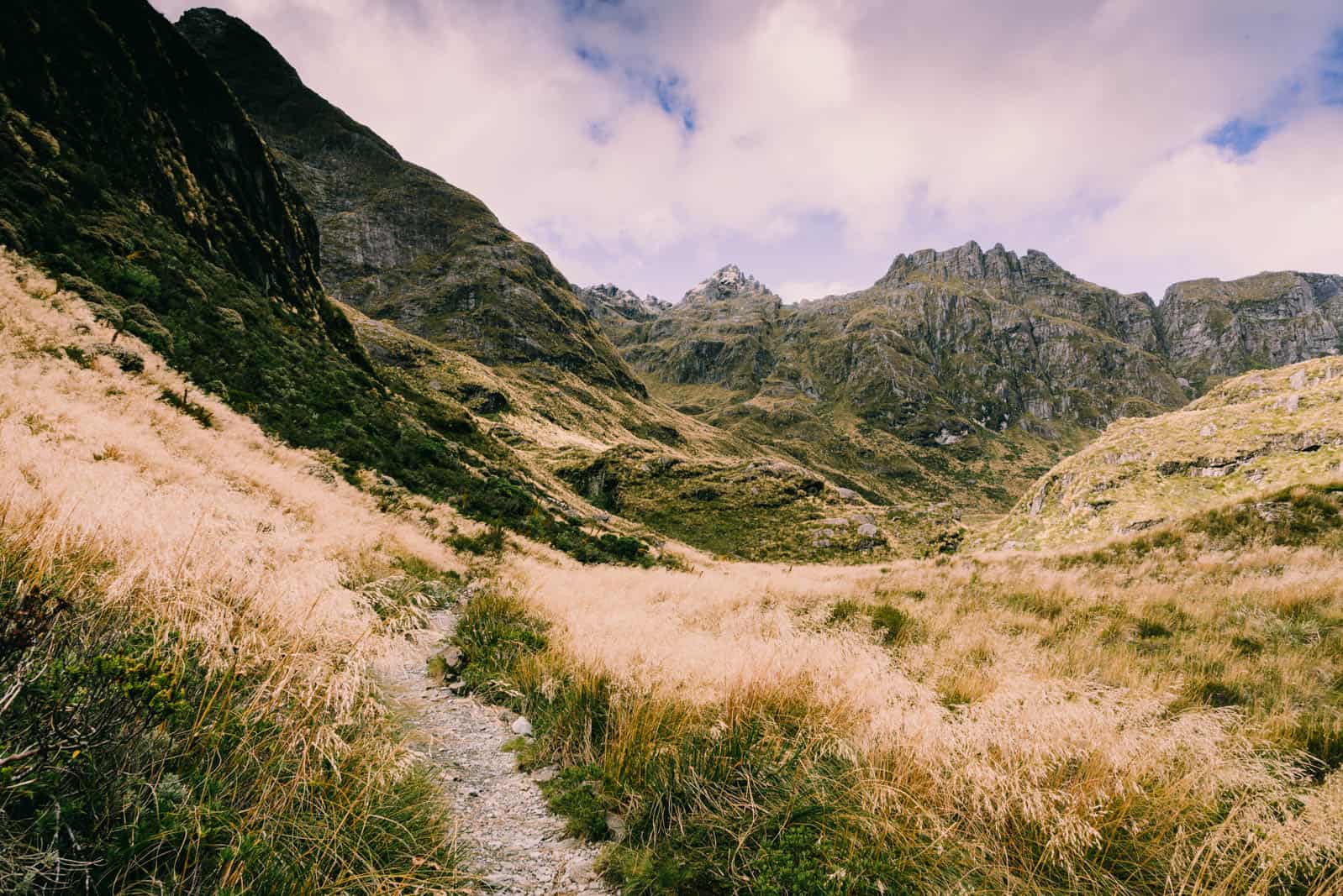 Routeburn track