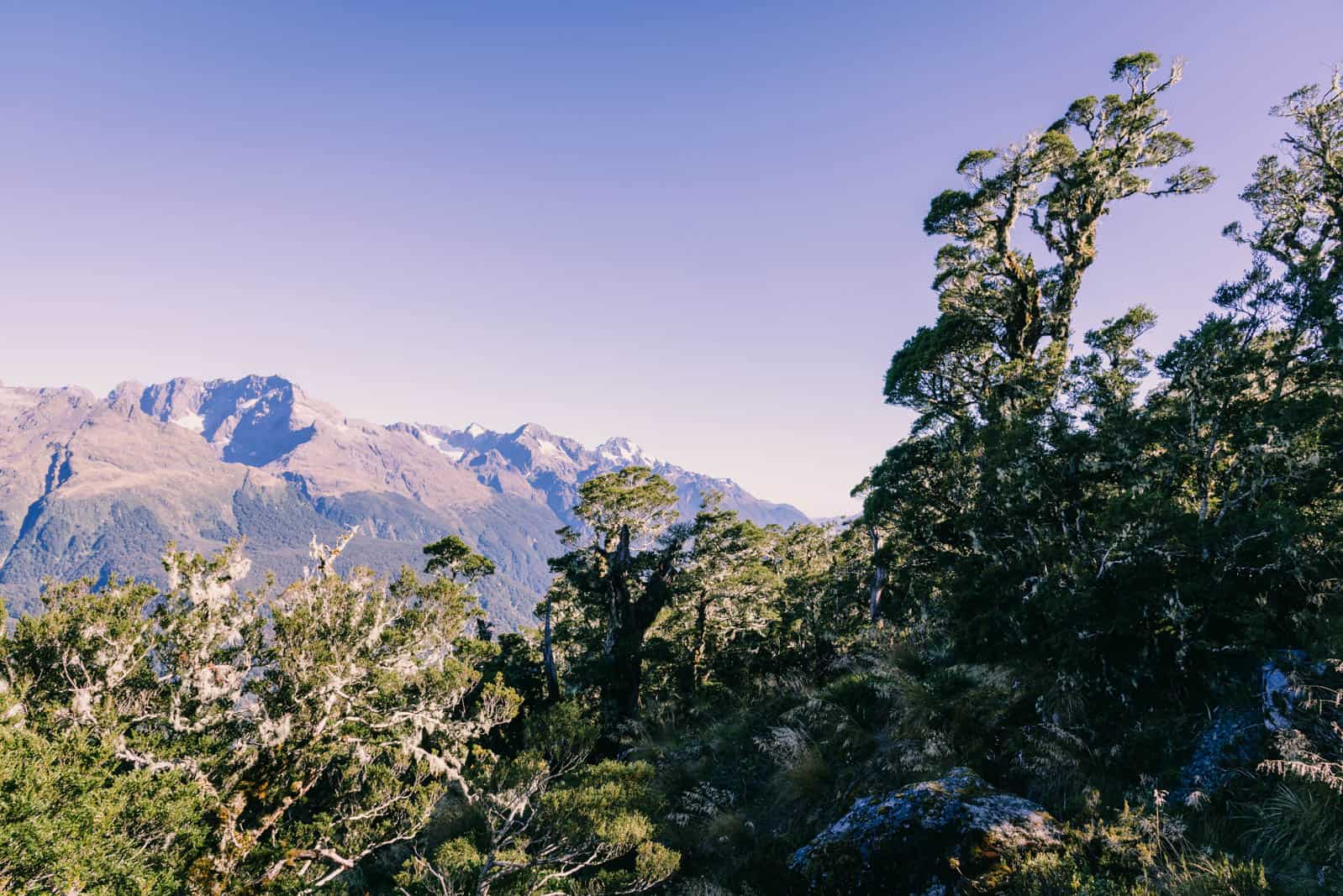 Routeburn track