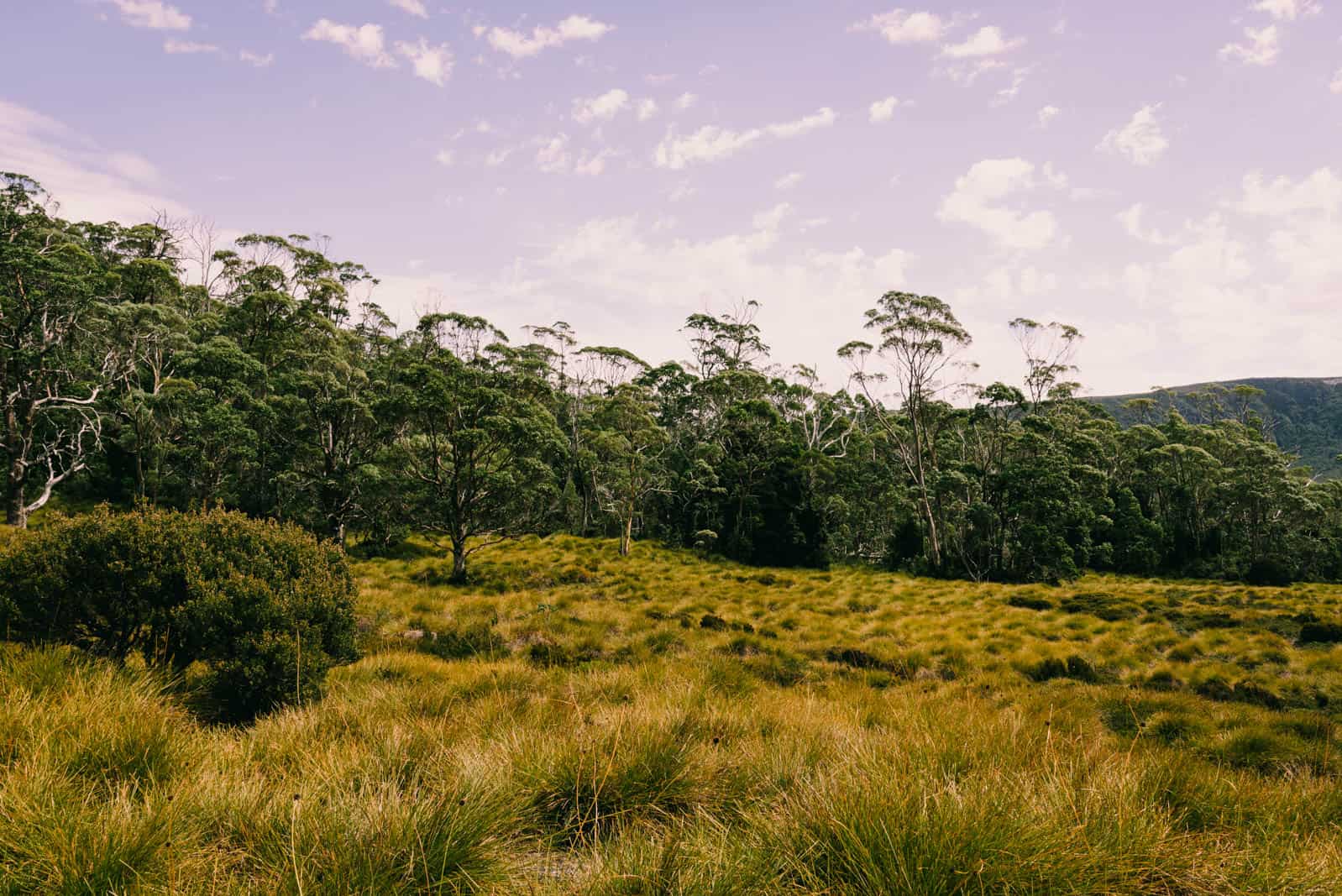 Overland Track