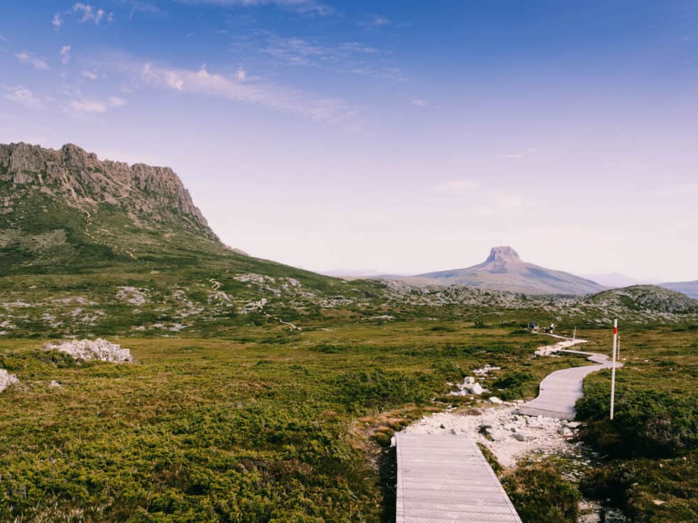 Overland Track board walk