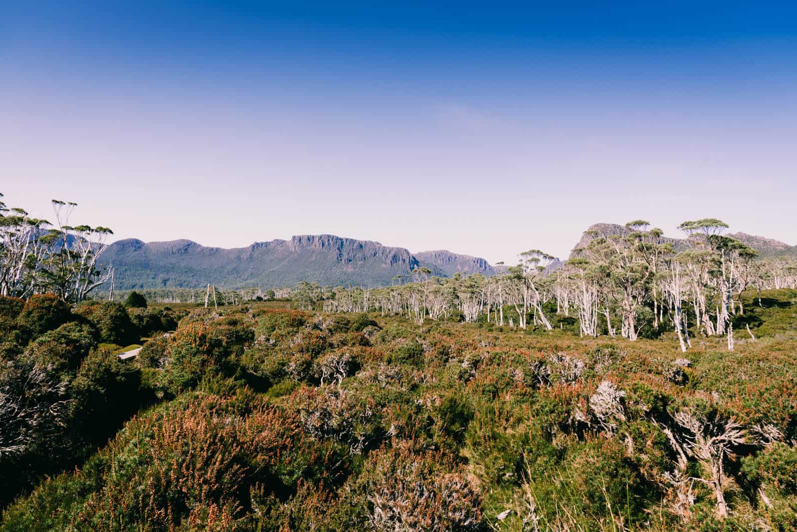 Overland Track
