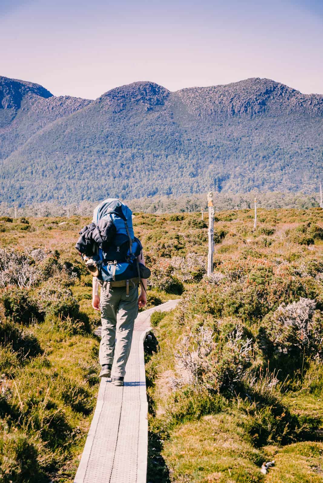 Overland Track board walk