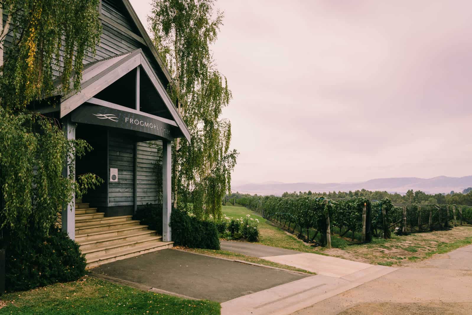 Coal valley vinyard