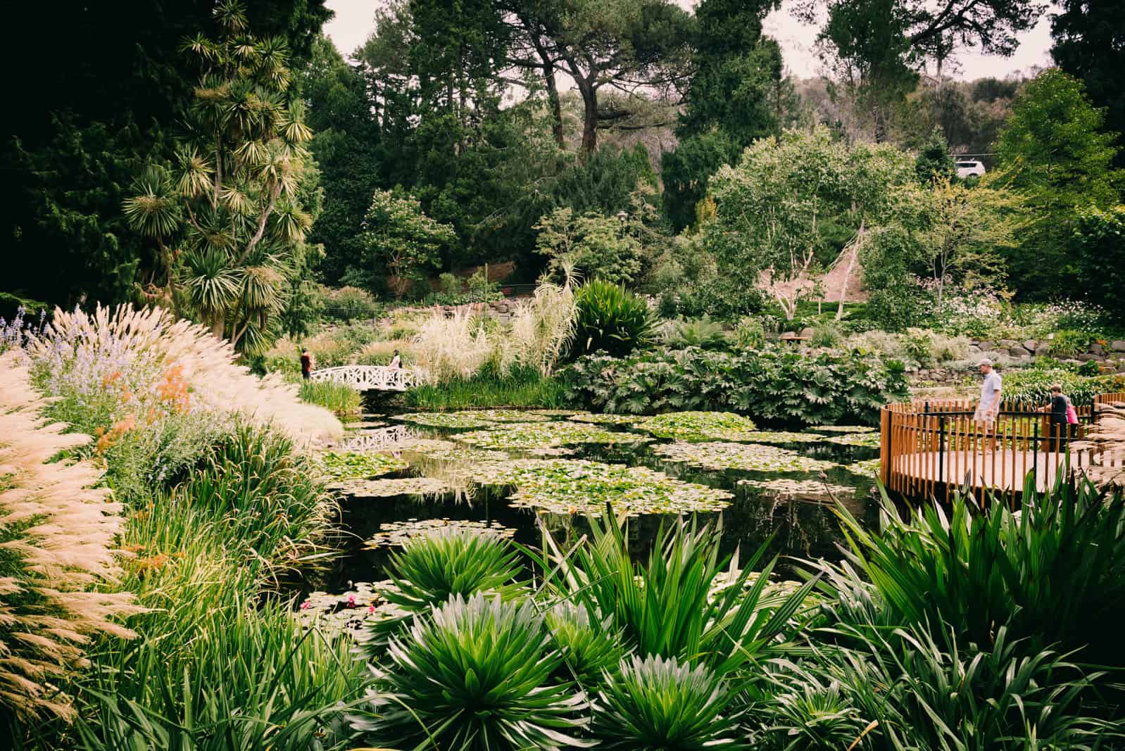 Hobart botanical garden
