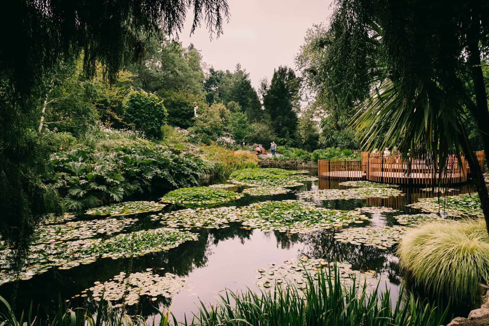Hobart botanical garden