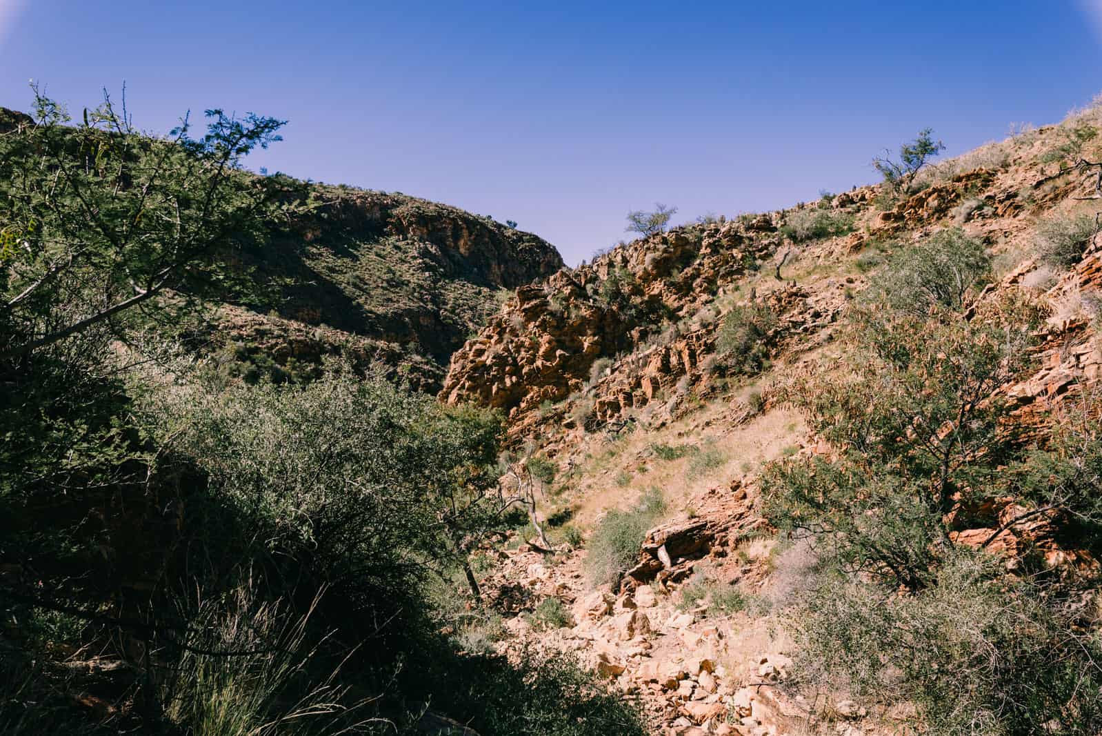 Olive Trail Naukluft Mountains