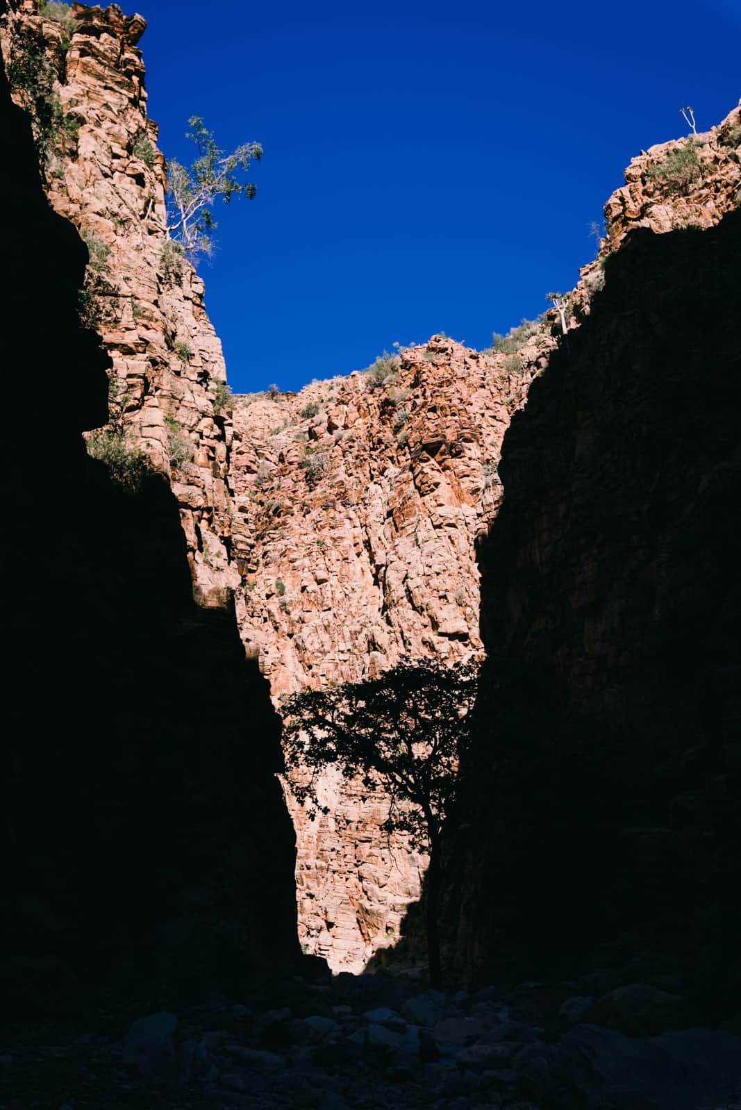 Olive Trail Naukluft Mountains