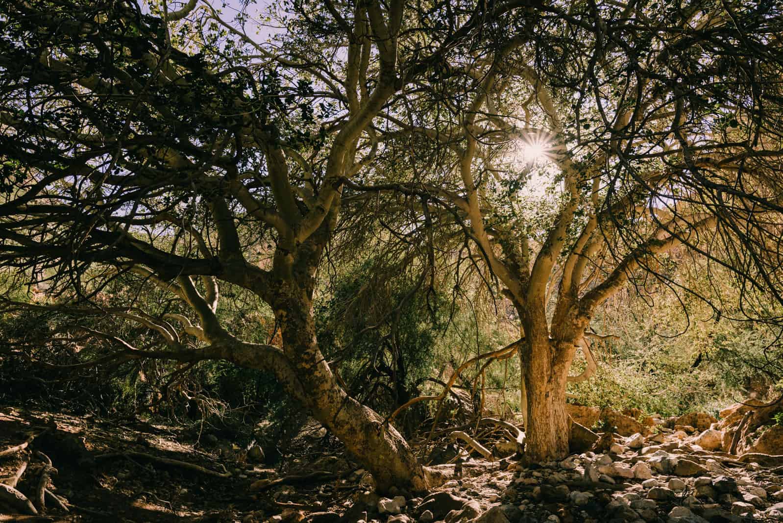 Waterkloof Trail Naukluft Mountains