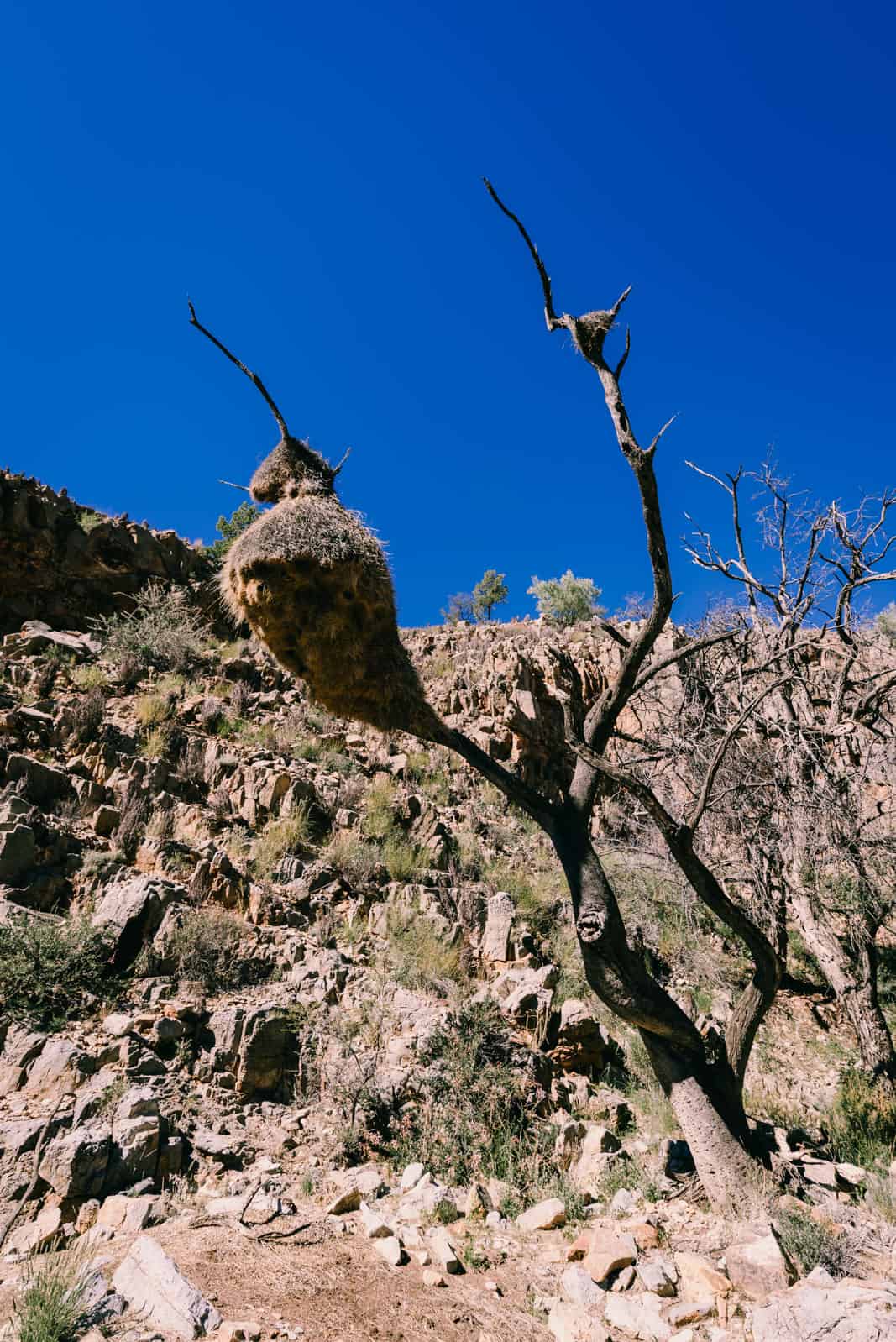 Waterkloof Trail Naukluft Mountains