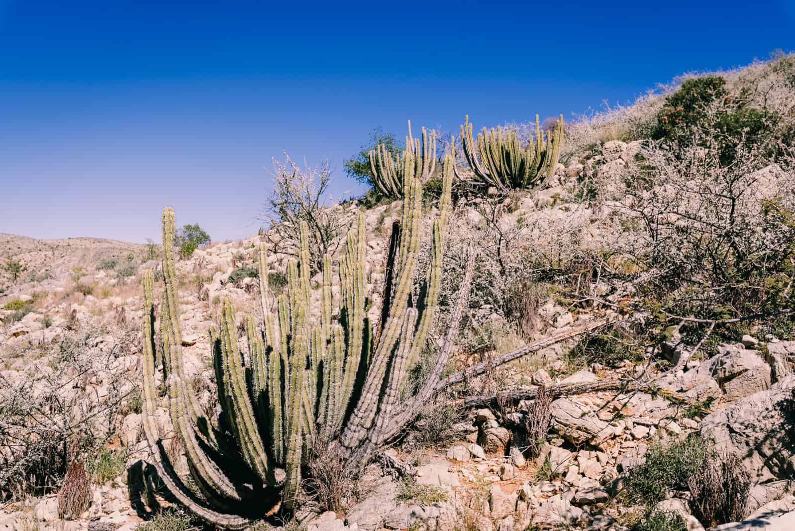 Waterkloof Trail Naukluft Mountains