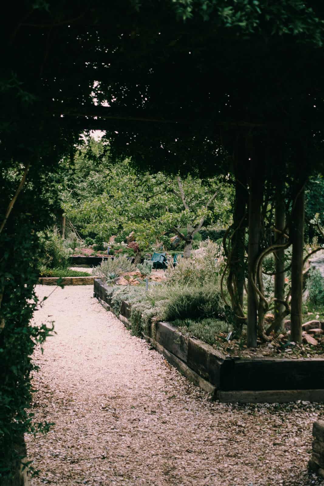 Babylon Storen, Stellenbosch