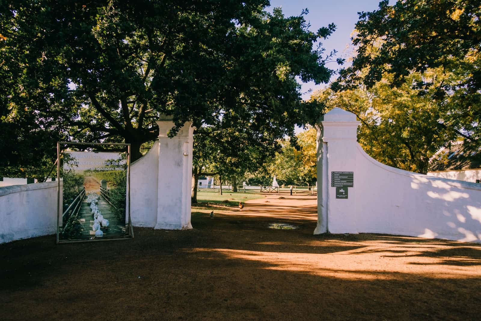 Babylon Storen, Stellenbosch