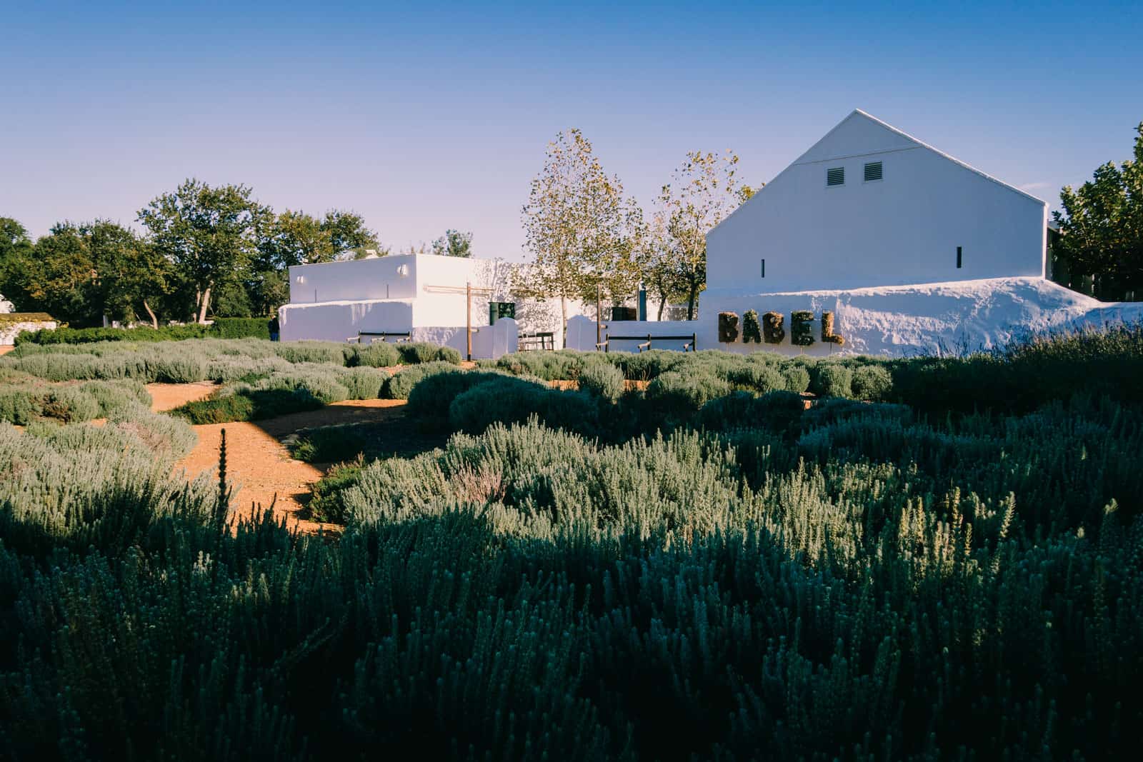 Babylon Storen, Stellenbosch
