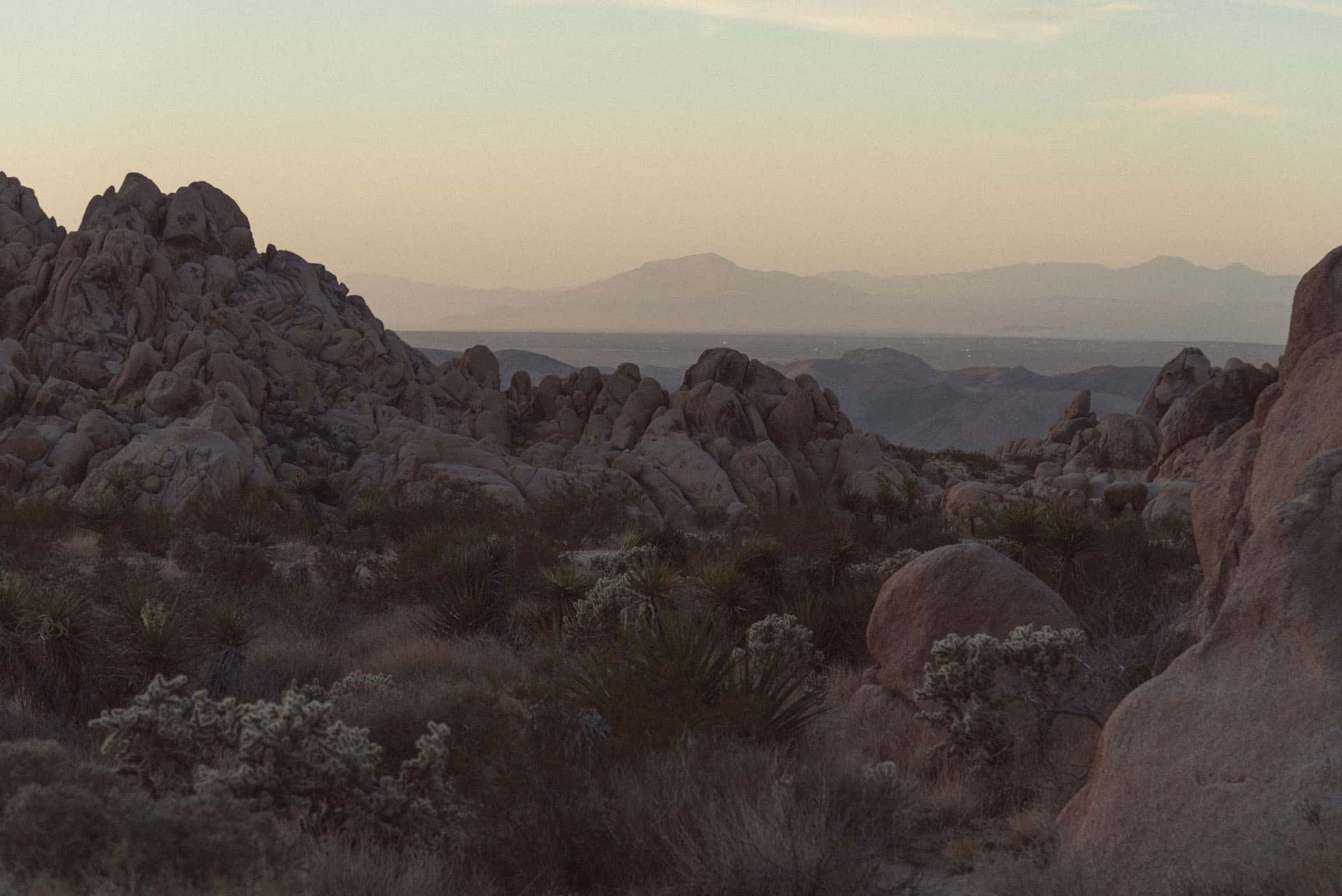 Joshua Tree National Park California USA