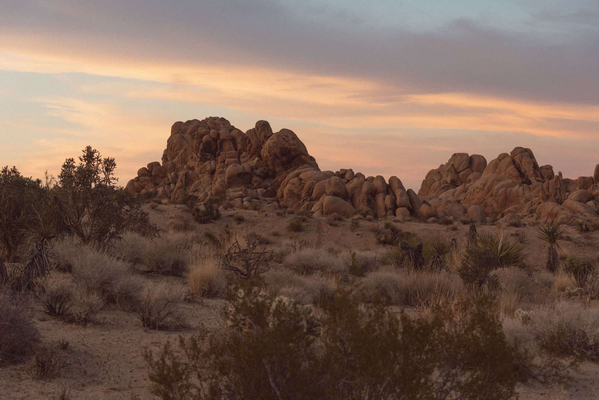 Joshua Tree National Park California USA