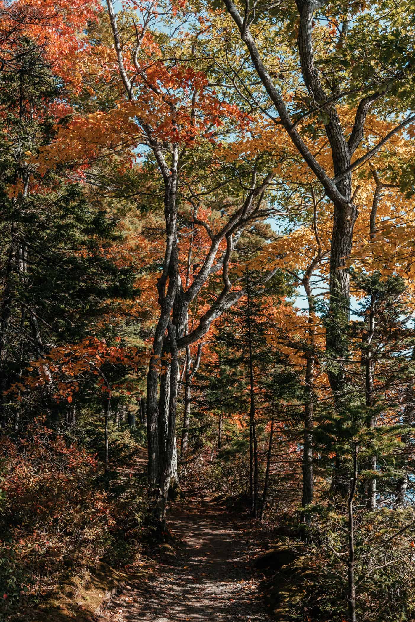 Indian Summer at Kejimkujik National Park Nova Scotia