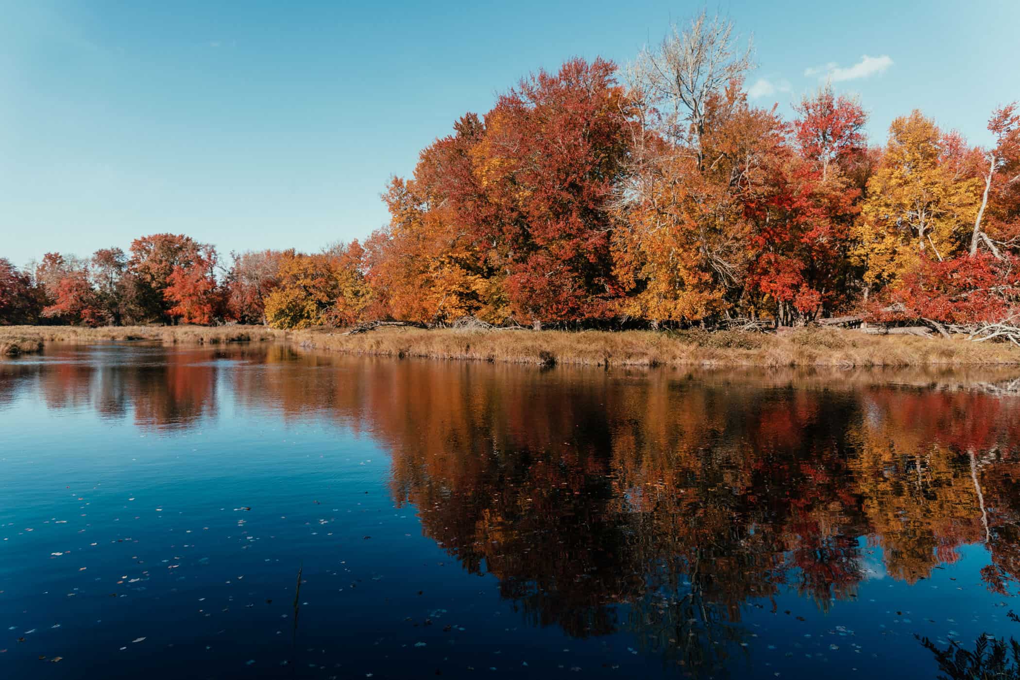 Indian Summer at Kejimkujik National Park Nova Scotia
