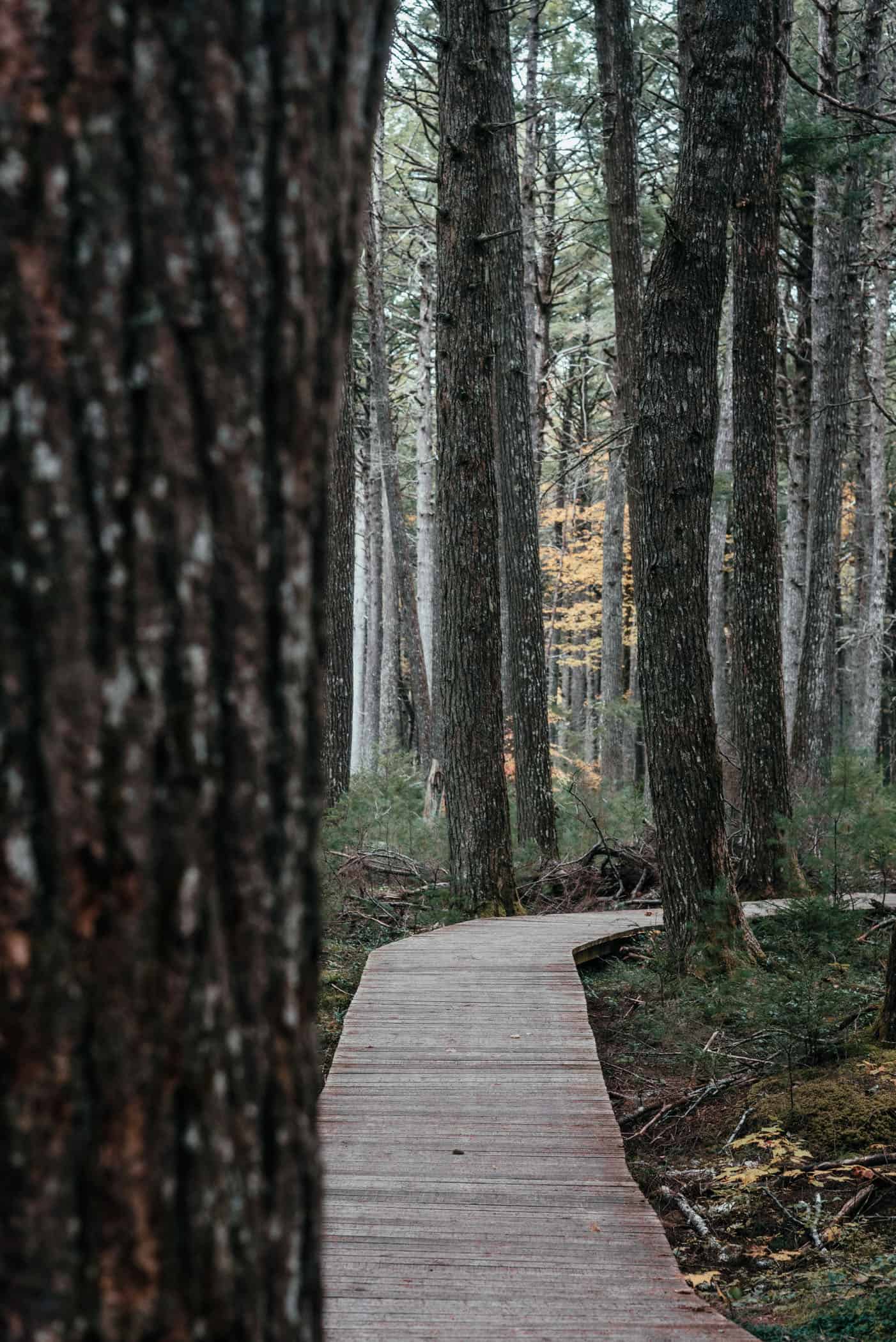 Indian Summer at Kejimkujik National Park Nova Scotia