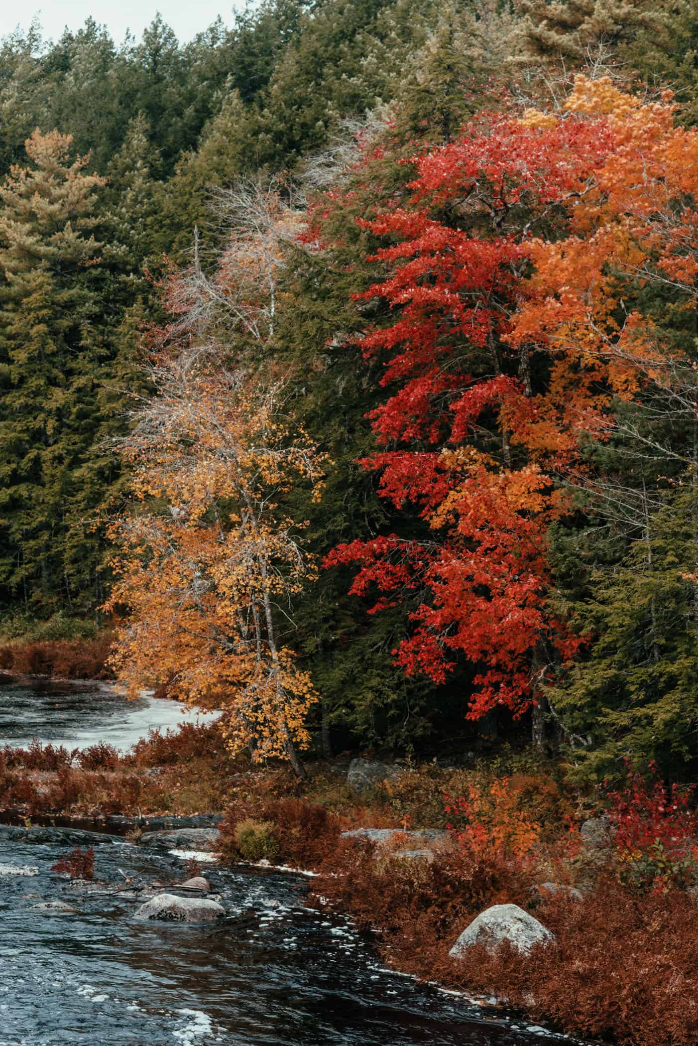 Indian Summer at Kejimkujik National Park Nova Scotia